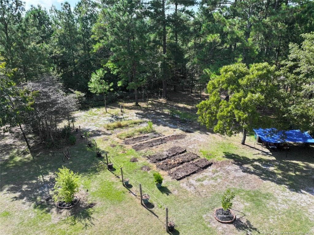 Photo 40 - 6456 Cedar Creek Road, Fayetteville, NC 28312, Fayetteville