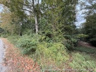 Photo 3 - TBD Galestown Road, Rockingham, NC 28379