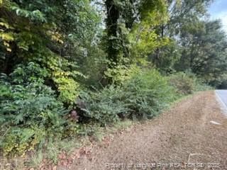 Photo 4 - TBD Galestown Road, Rockingham, NC 28379