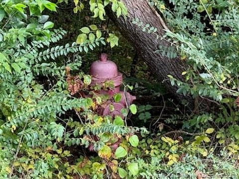 Photo 5 - TBD Galestown Road, Rockingham, NC 28379