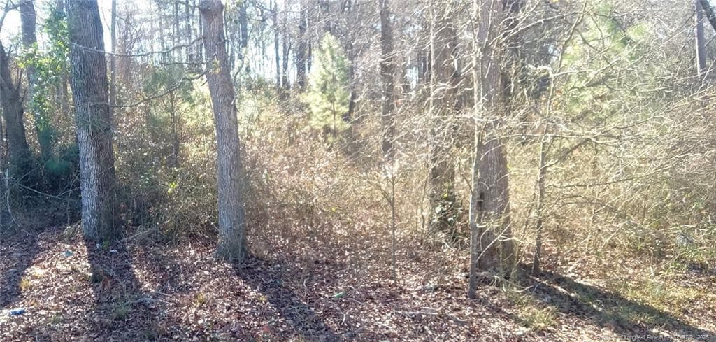 Photo 2 - 0 Broad Street, Saint Pauls, NC 28384