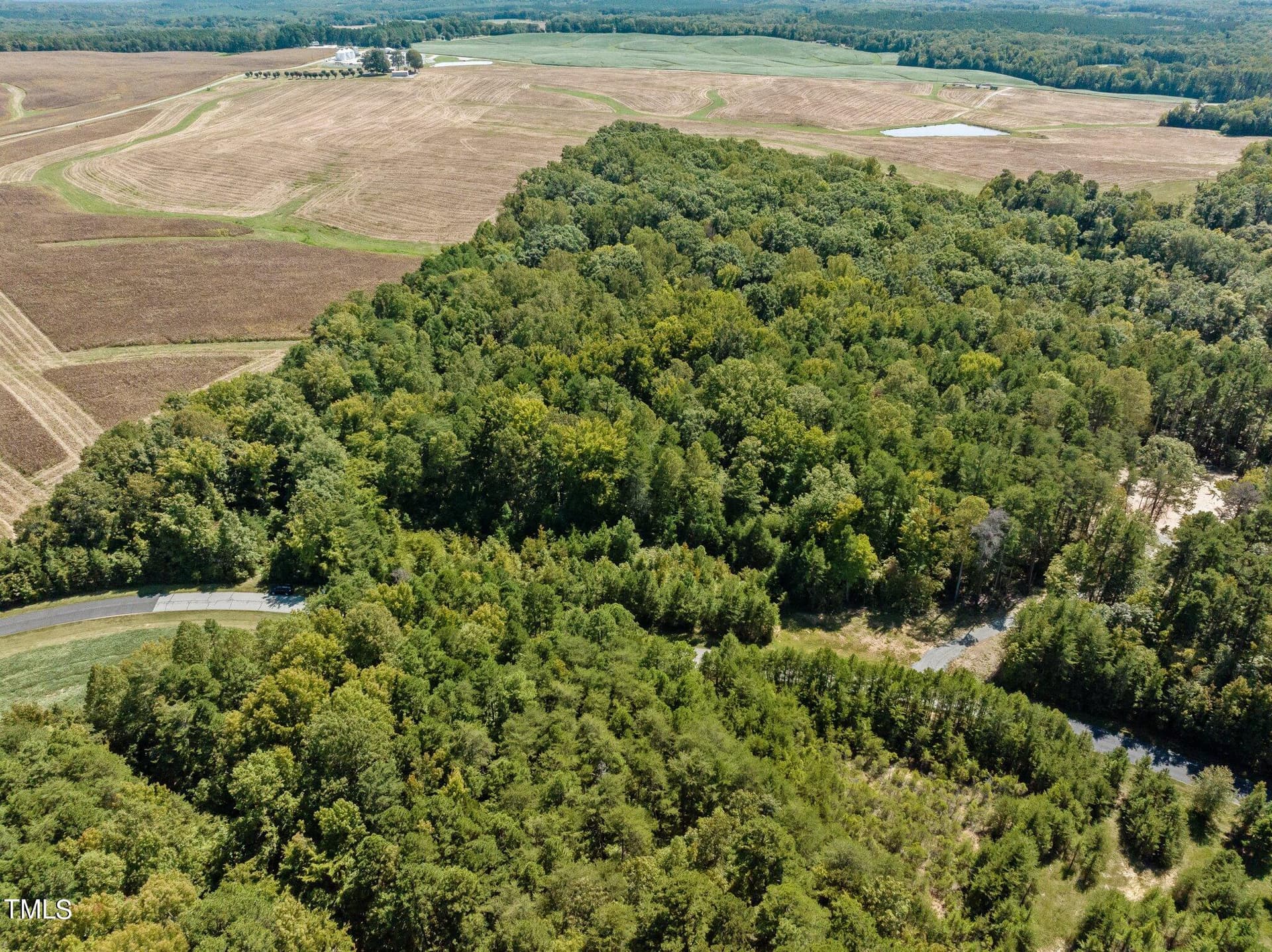 3-web-or-mls-DJI_20240910130611_0989_D - 17.03ac New Mayo Drive, Roxboro, NC 27574