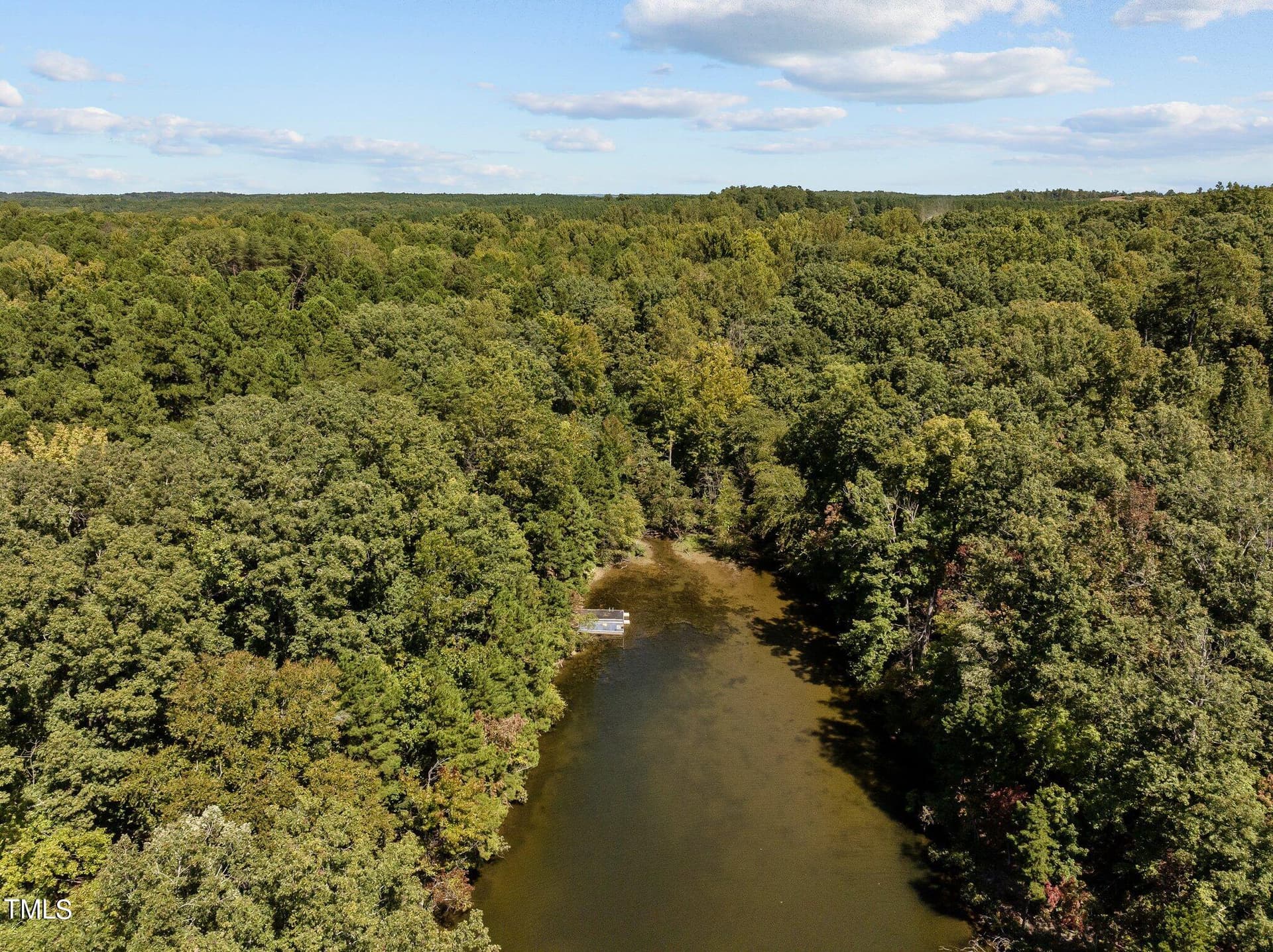 10-web-or-mls-DJI_20240910131042_0996_D - 17.03ac New Mayo Drive, Roxboro, NC 27574