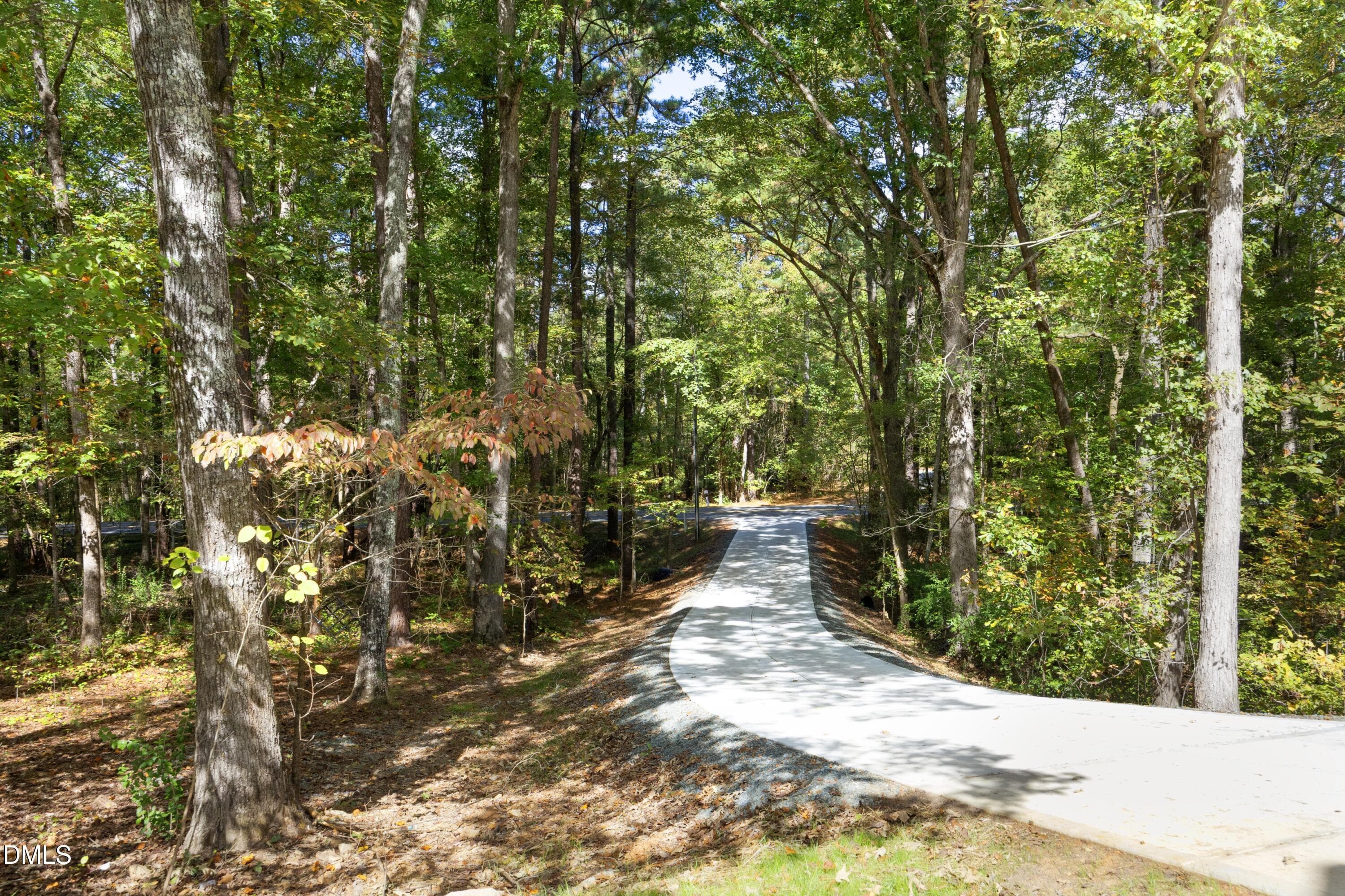 04Driveway - 2817 Silk Hope Gum Springs Road, Pittsboro, NC 27312, Pittsboro