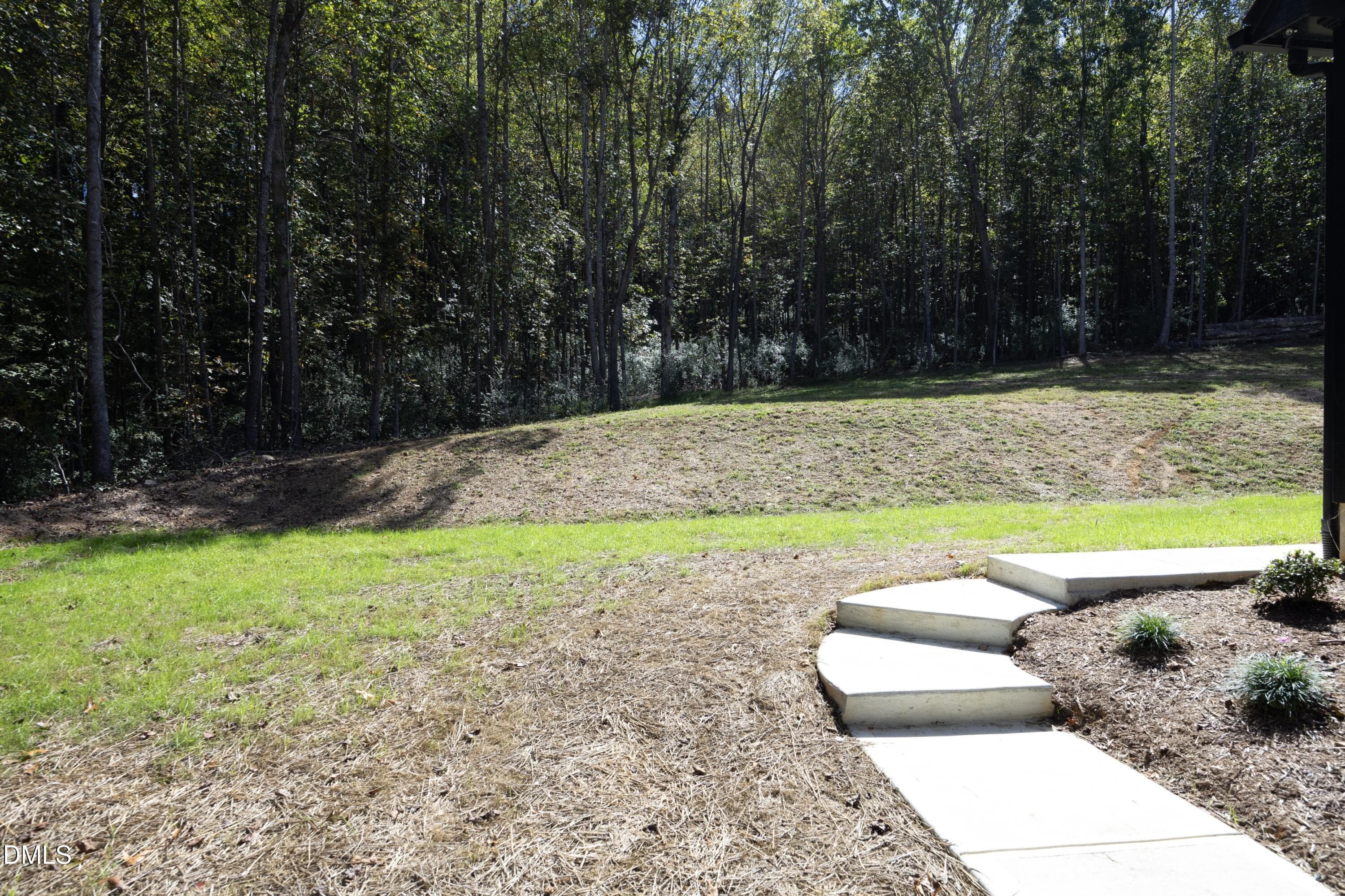 16BackWalkway - 2817 Silk Hope Gum Springs Road, Pittsboro, NC 27312, Pittsboro