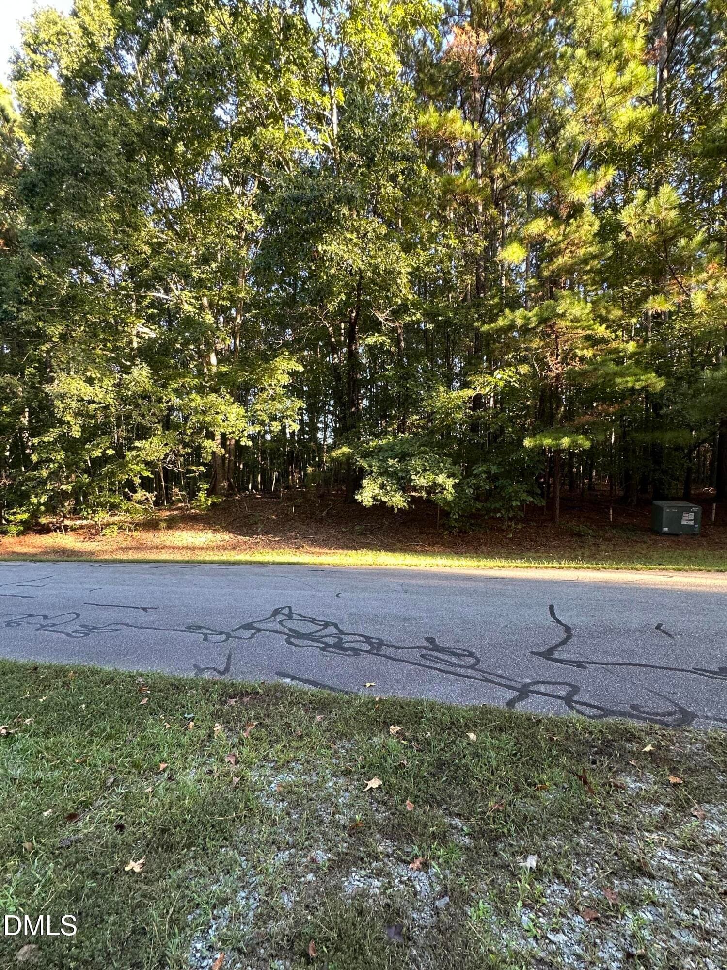 IMG_3074 - Lot 10 Waterside Drive, Henrico, NC 27842
