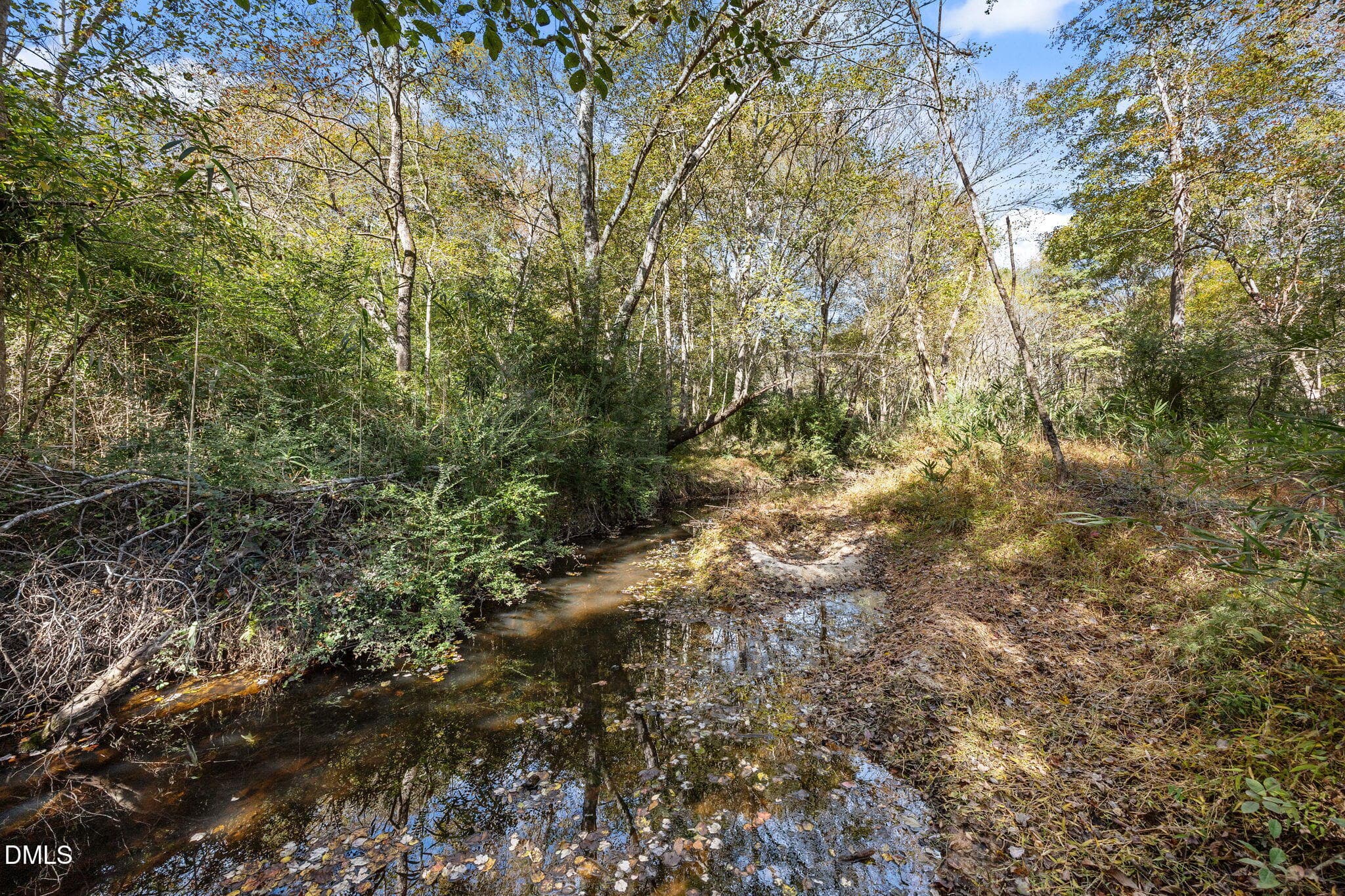 14-web-or-mls-IMG_2561 - 0 Ernest Brown Road, Lillington, NC 27546