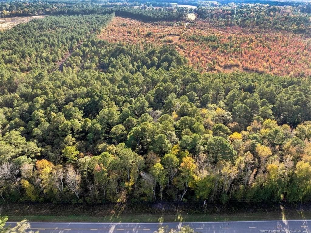 Photo 2 - N. Shannon Road, Red Springs, NC 28377