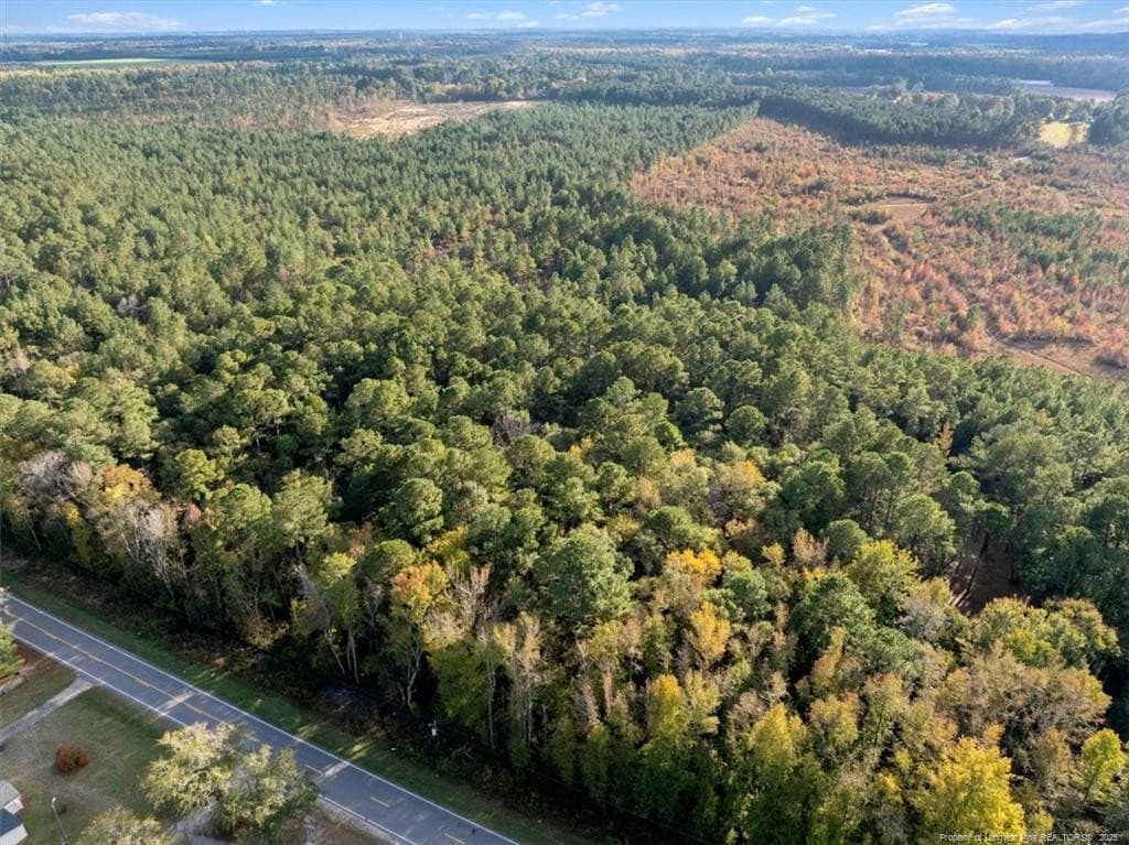 Photo 3 - N. Shannon Road, Red Springs, NC 28377