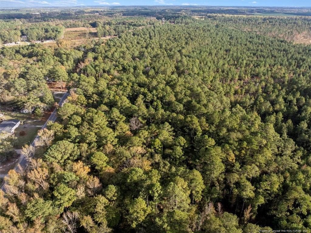 Photo 4 - N. Shannon Road, Red Springs, NC 28377