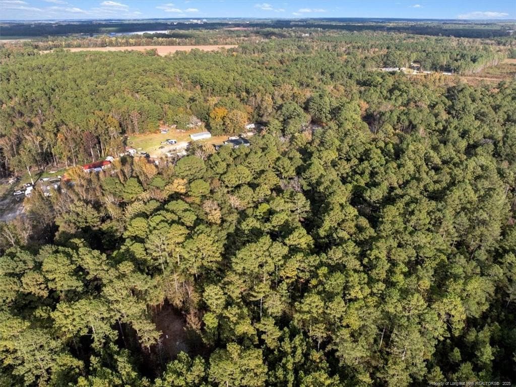 Photo 5 - N. Shannon Road, Red Springs, NC 28377