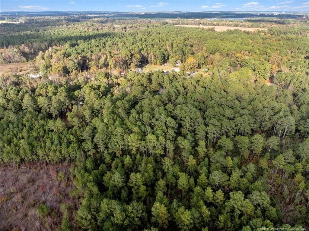 Photo 6 - N. Shannon Road, Red Springs, NC 28377