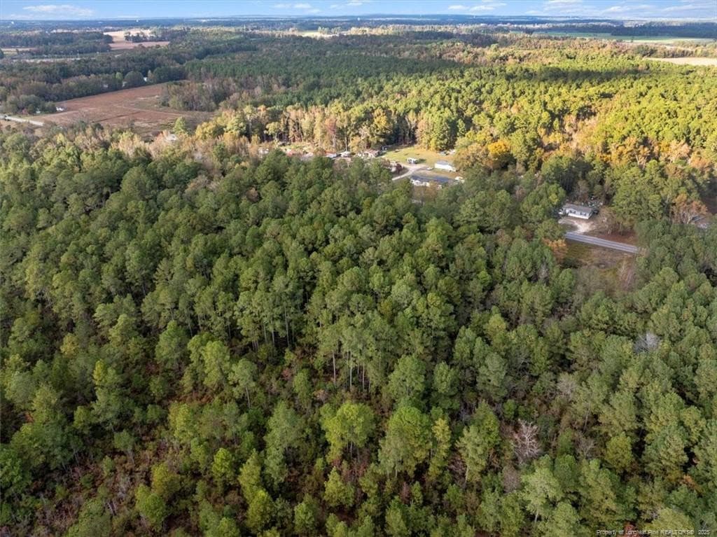 Photo 7 - N. Shannon Road, Red Springs, NC 28377
