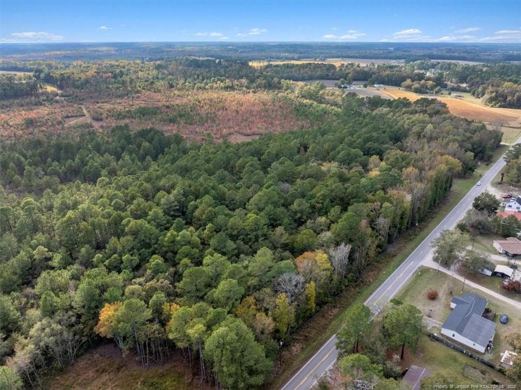 Photo 9 - N. Shannon Road, Red Springs, NC 28377