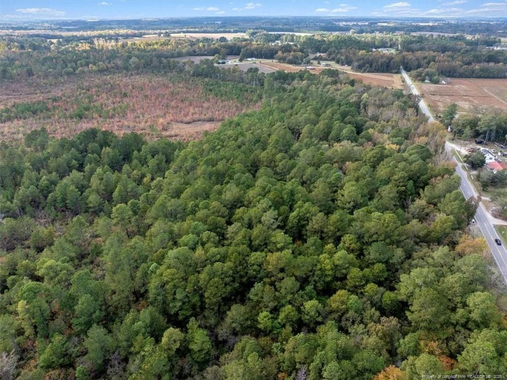 Photo 8 - N. Shannon Road, Red Springs, NC 28377