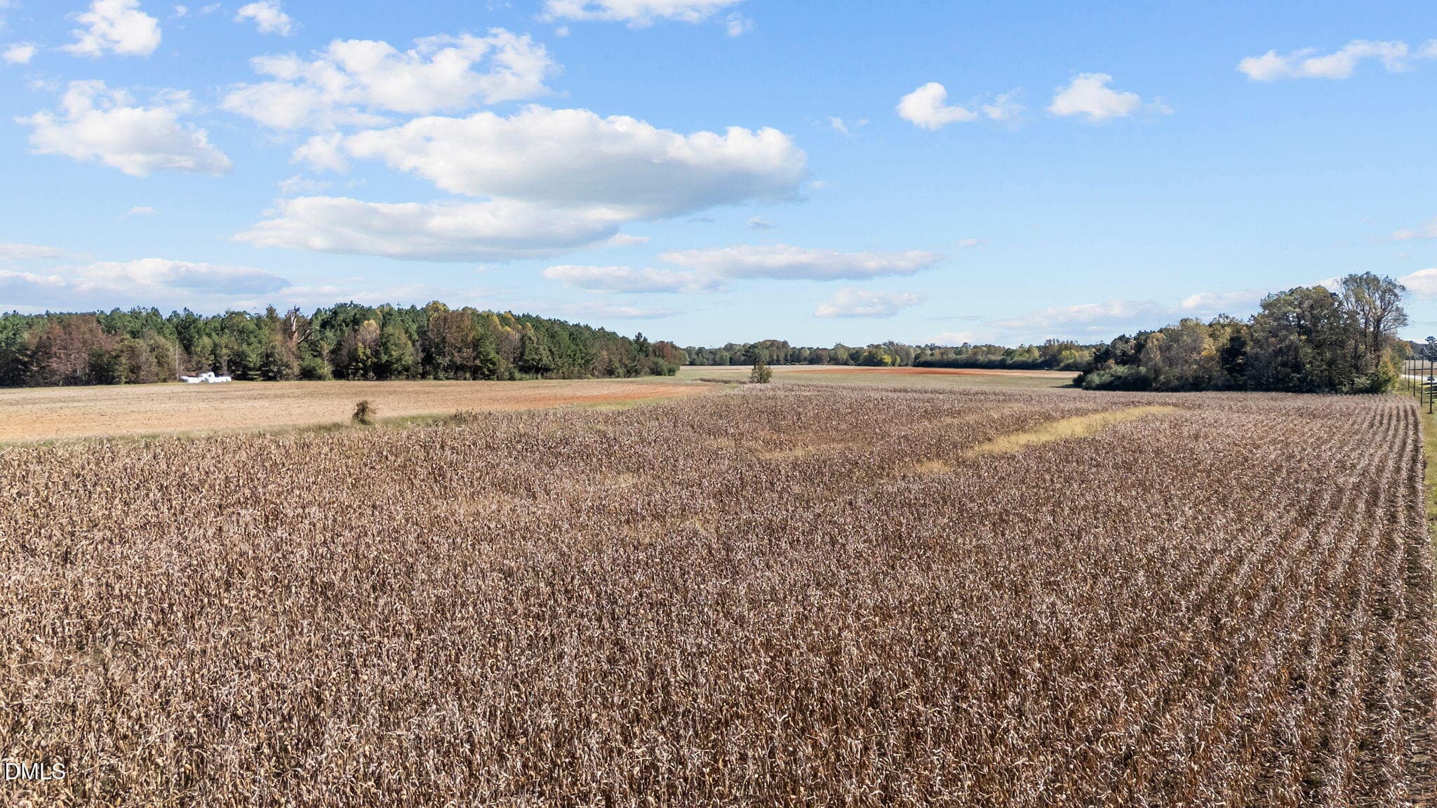 16-web-or-mls-DJI_20251024135645_0355_D - 0 Nc-43 Lot 5-3, Whitakers, NC 27891