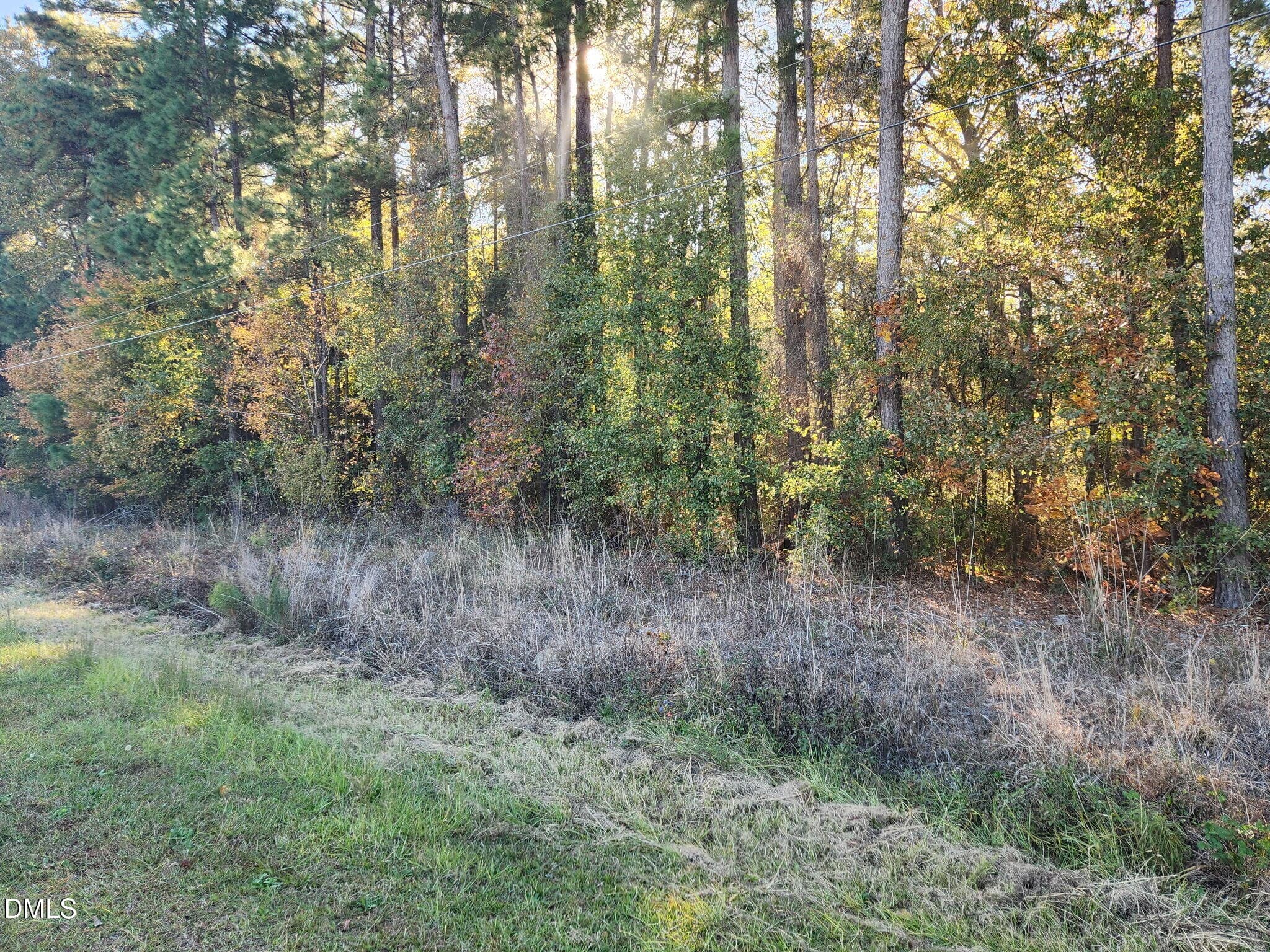 6604011367860184719 - 0 Cedar Grove Church Road, St. Pauls, NC 28384