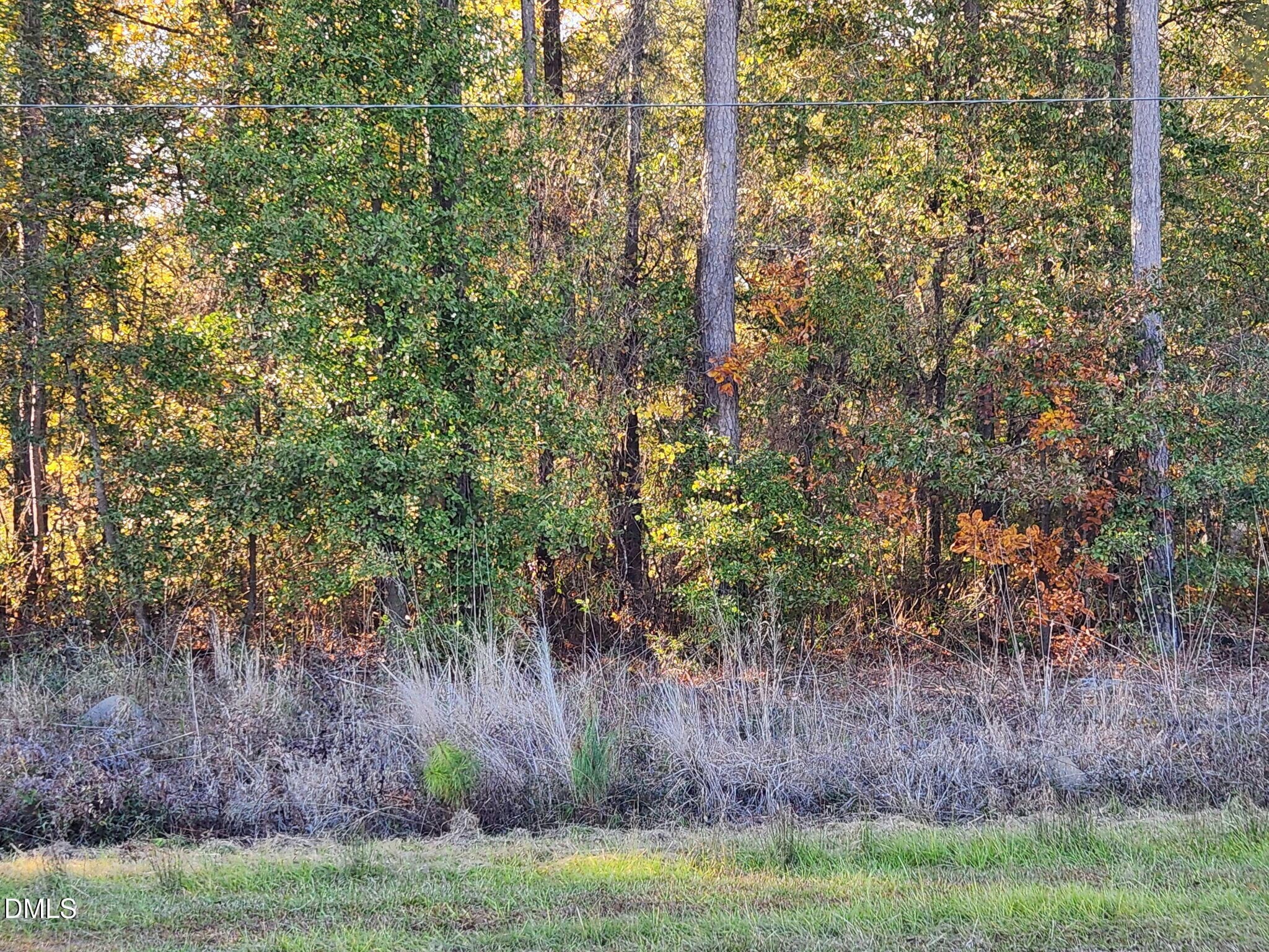 8446292240649862452 - 0 Cedar Grove Church Road, St. Pauls, NC 28384