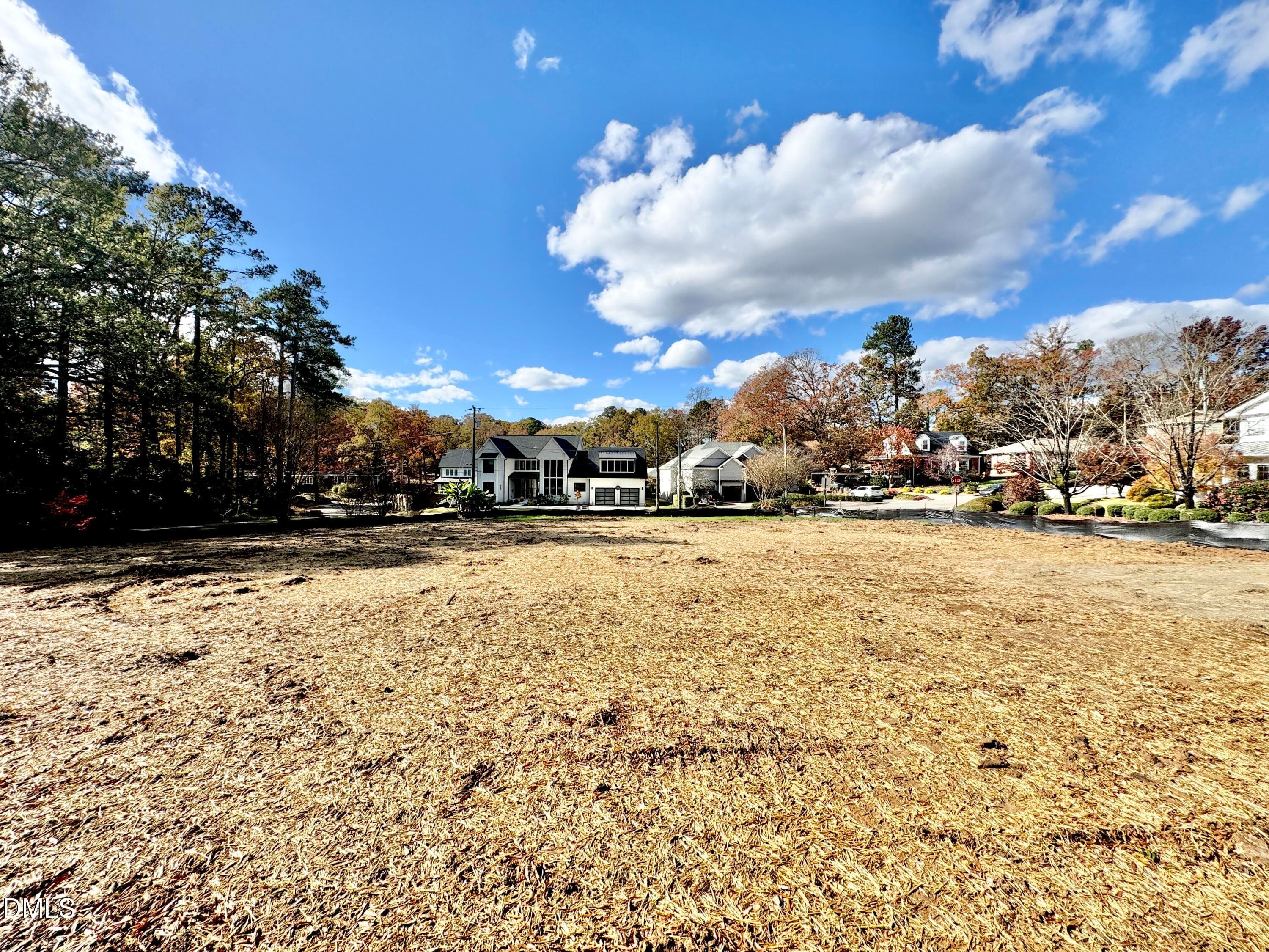 IMG_3767 - 421 S Harrison Avenue, Cary, NC 27511, Cary
