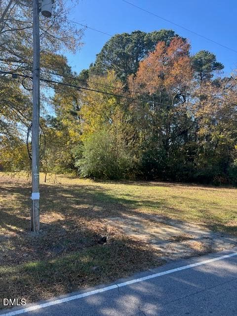 IMG_8915 - 403 W Edwards Street, Princeton, NC 27569