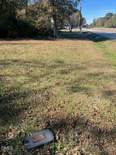 IMG_8914 - 403 W Edwards Street, Princeton, NC 27569