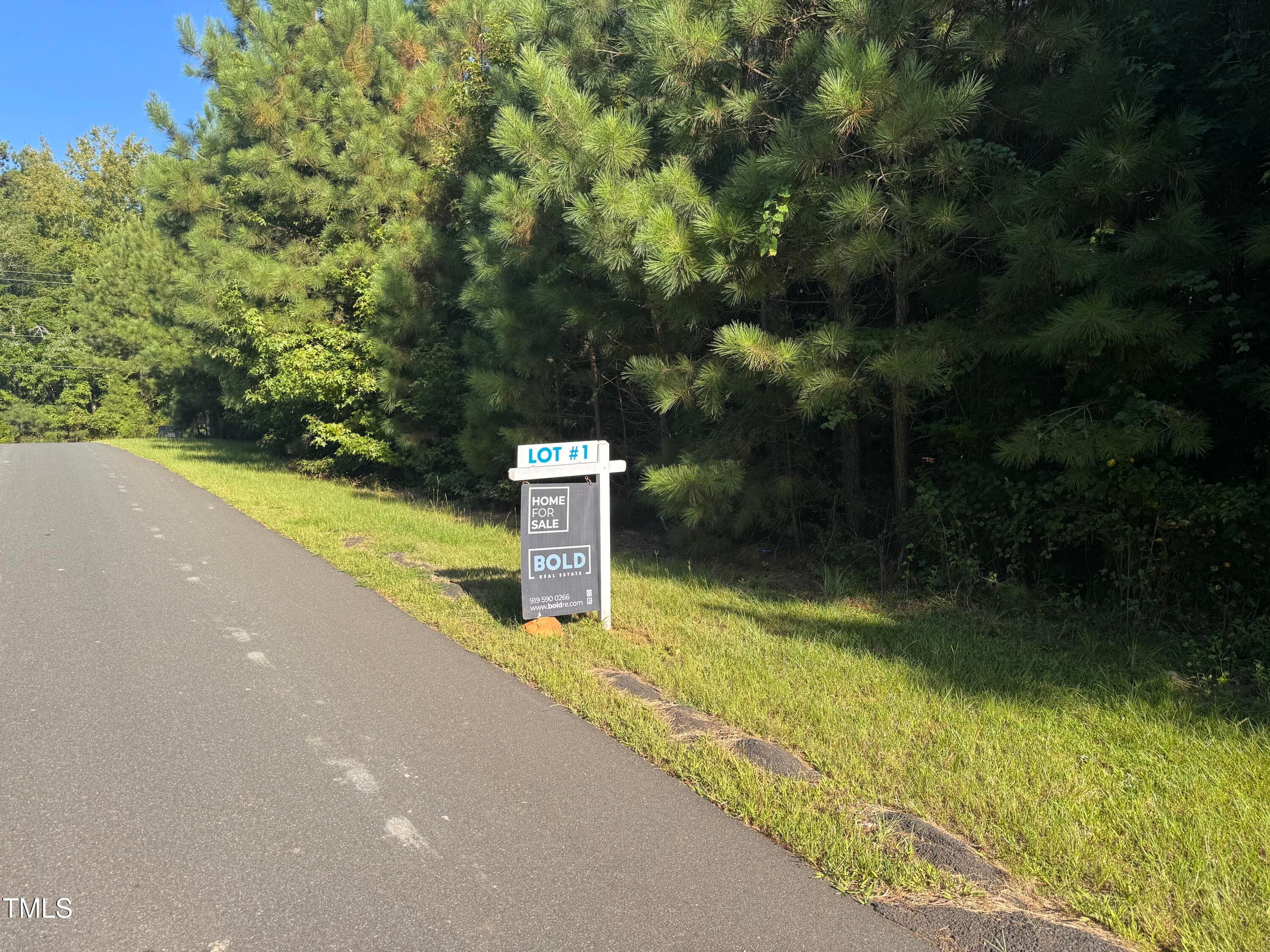 Gallant Drive - 586 Poythress Road, Chapel Hill, NC 27516, Chapel Hill