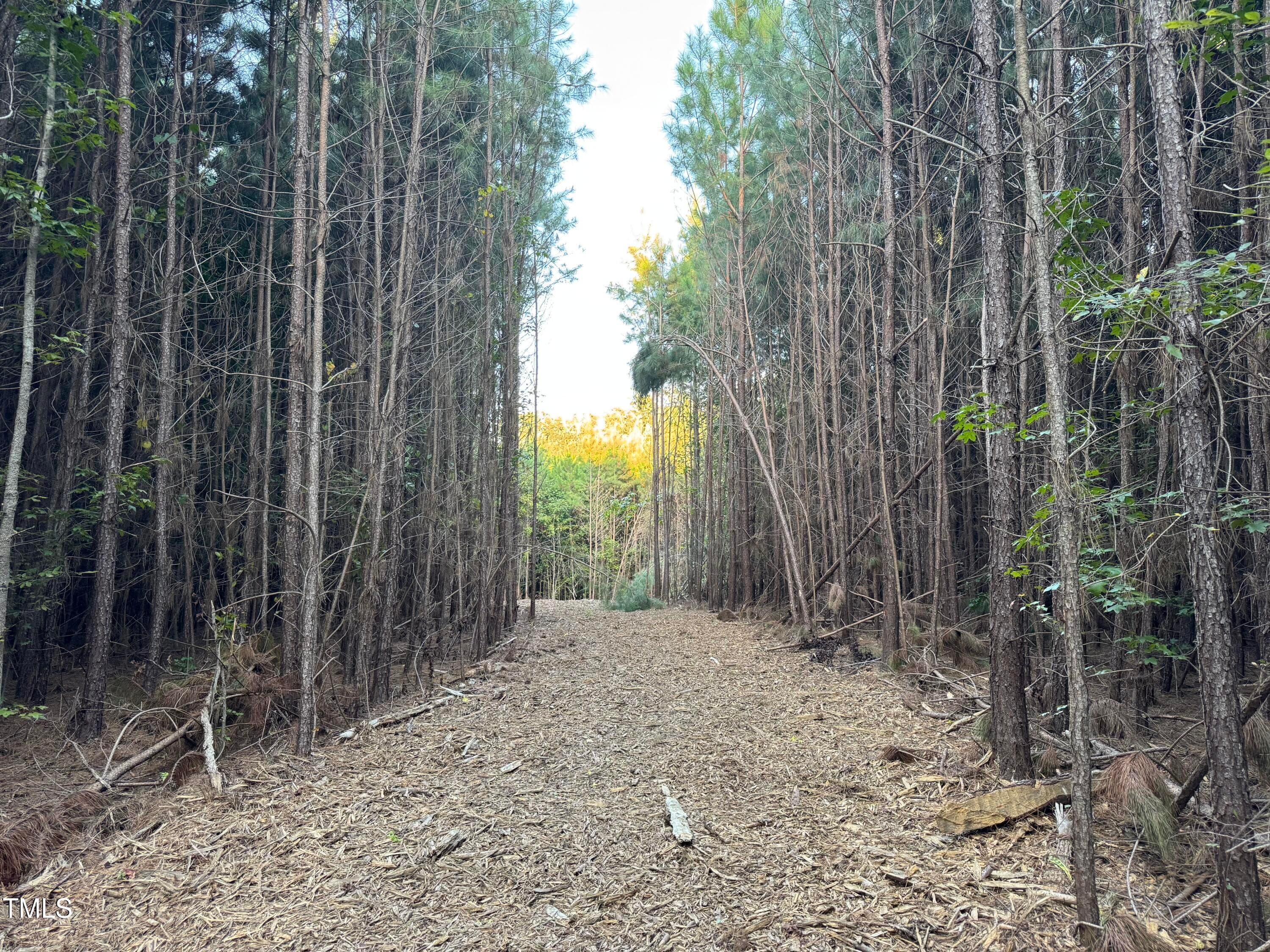 Lot 1 - 586 Poythress Road, Chapel Hill, NC 27516, Chapel Hill