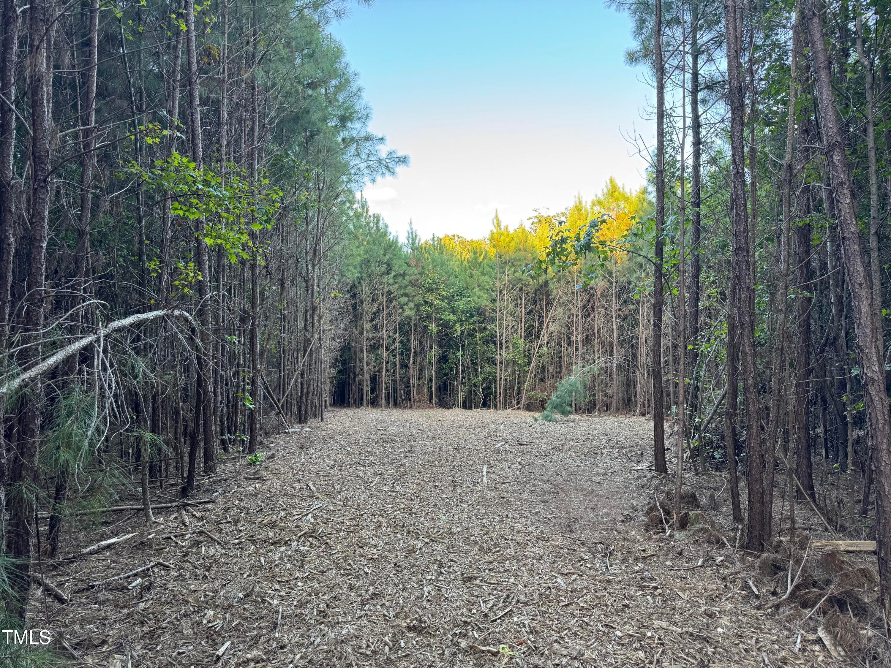 Lot 1 - 586 Poythress Road, Chapel Hill, NC 27516, Chapel Hill