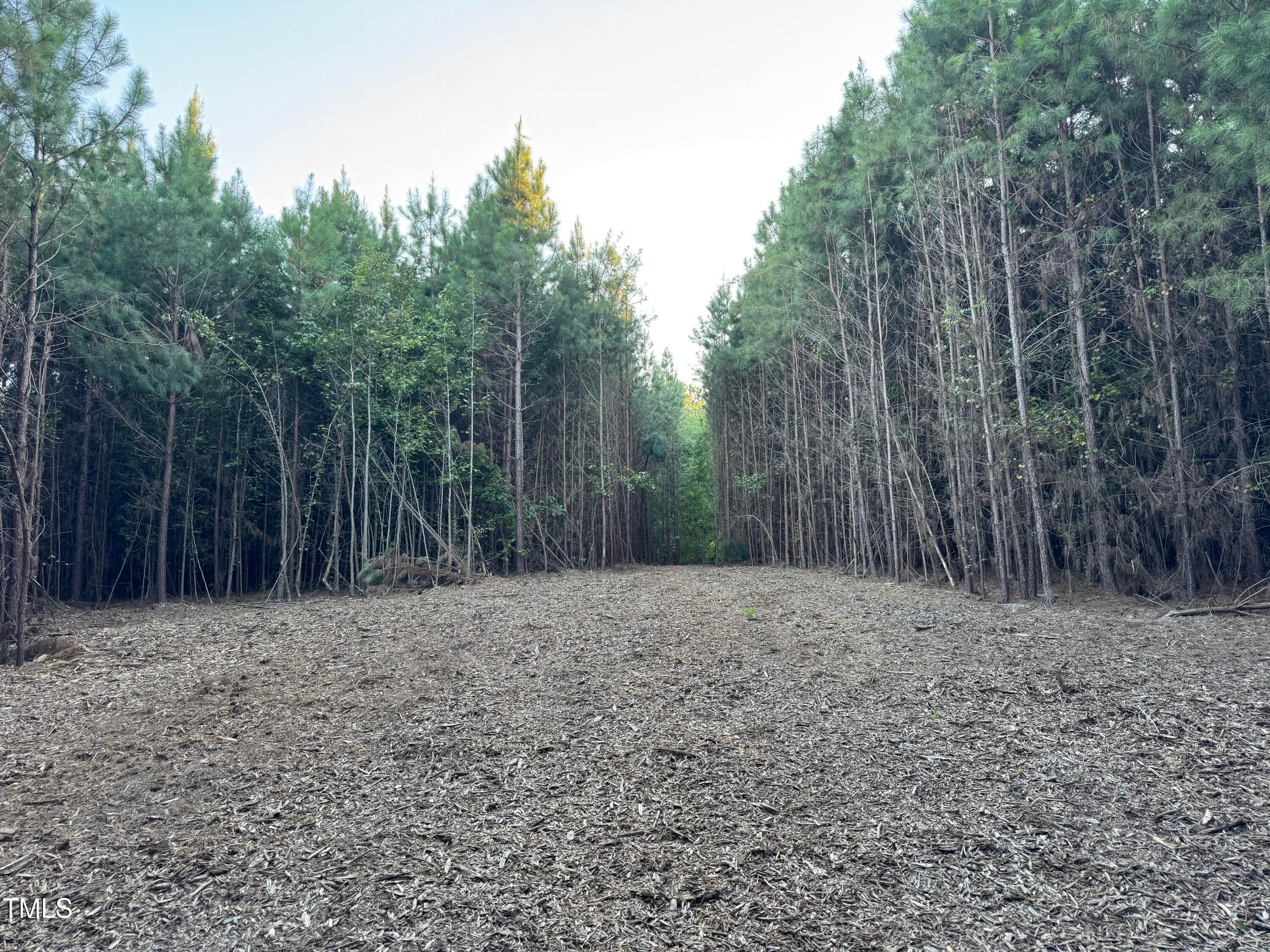 Lot 1 - 586 Poythress Road, Chapel Hill, NC 27516, Chapel Hill