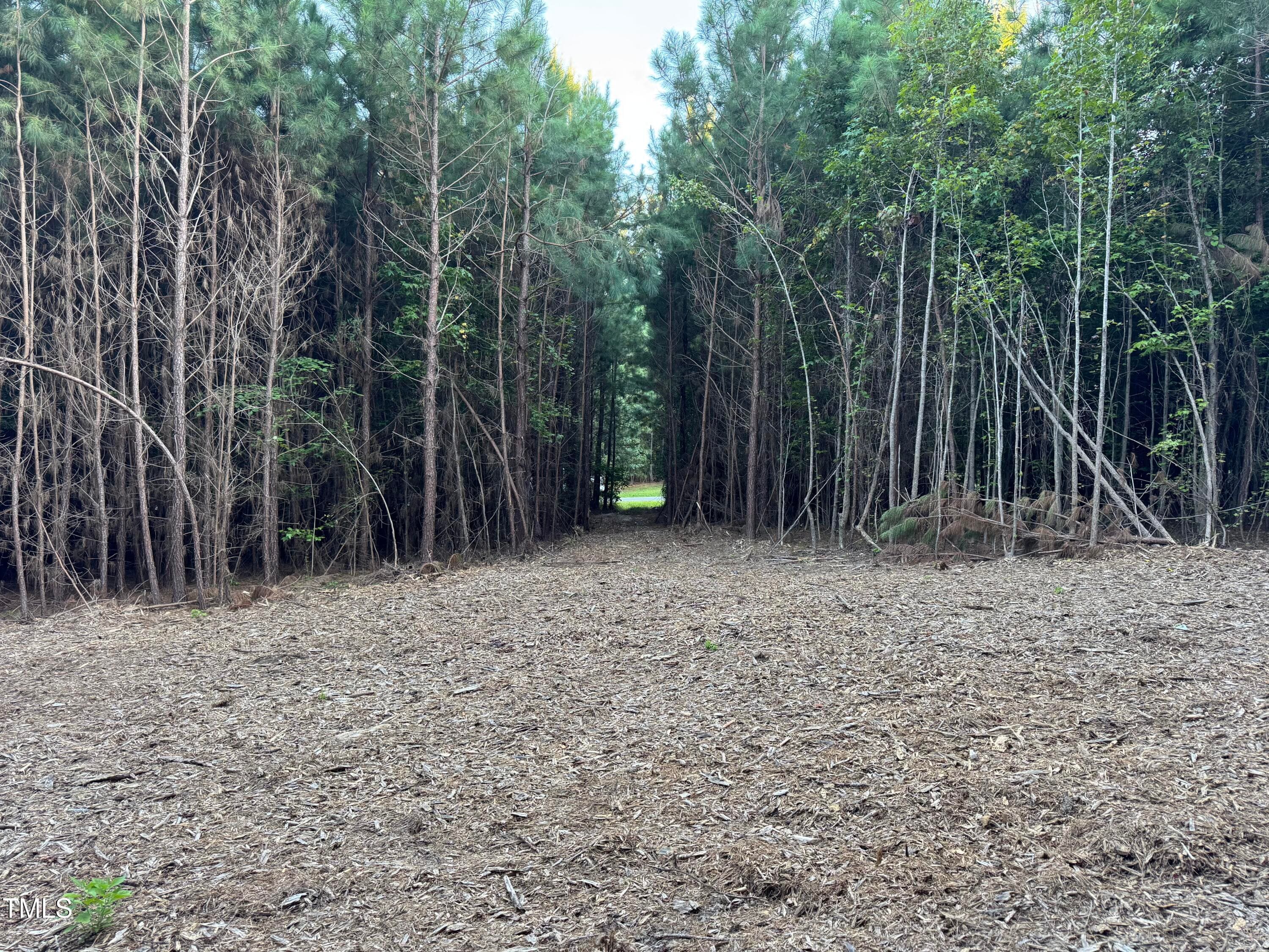 Lot 1 - 586 Poythress Road, Chapel Hill, NC 27516, Chapel Hill