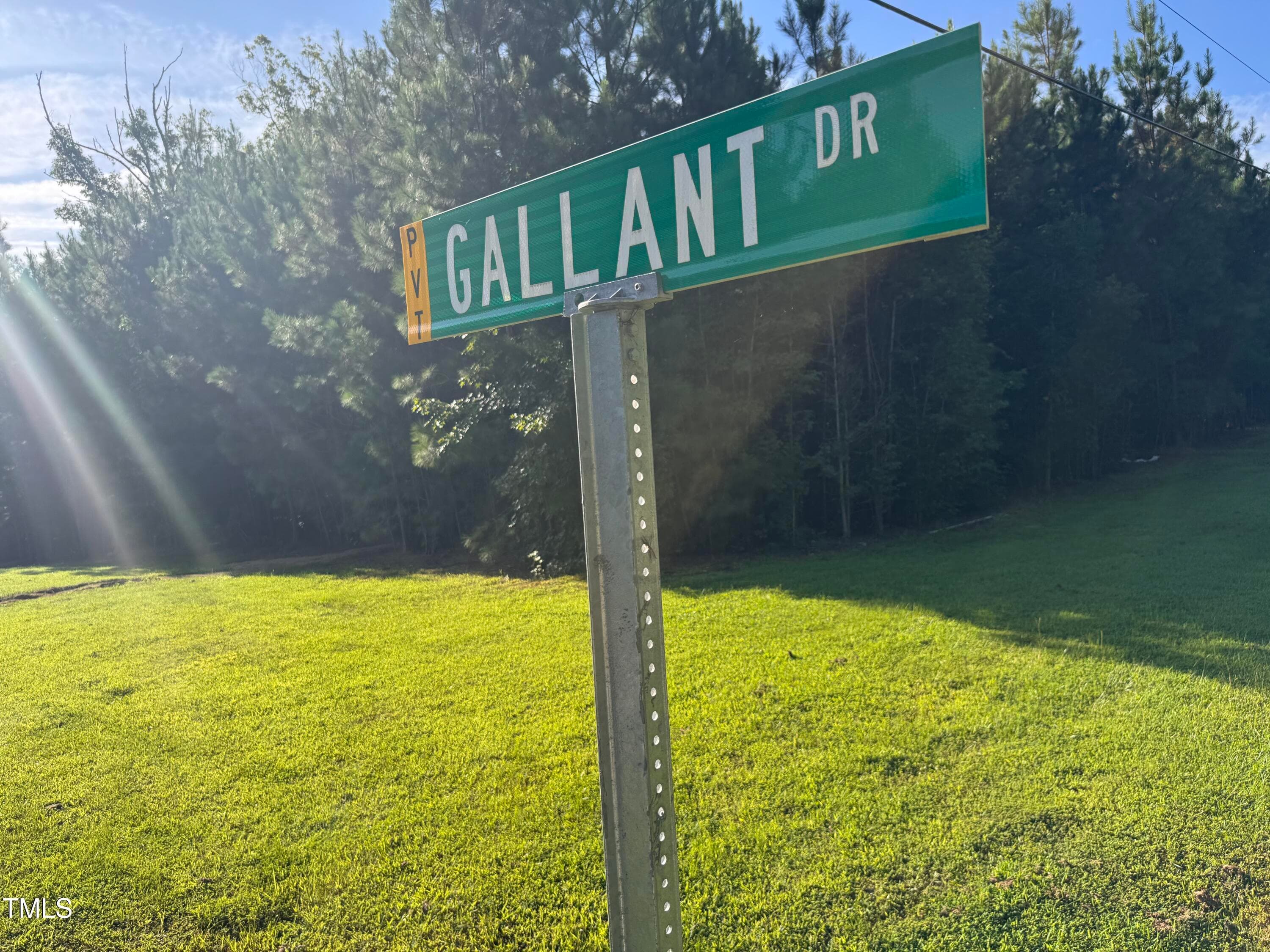 Gallant Drive - 586 Poythress Road, Chapel Hill, NC 27516, Chapel Hill