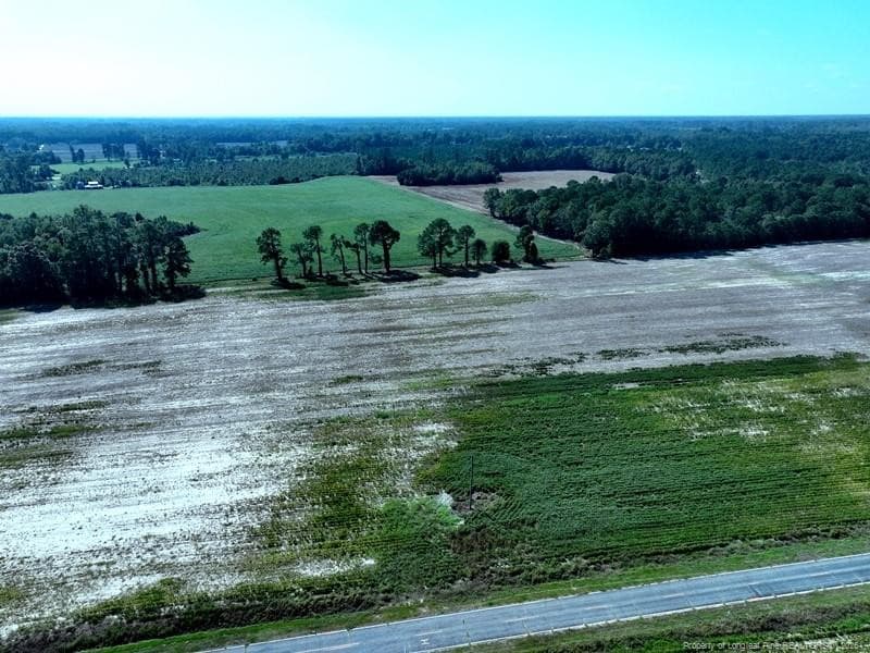 TBD Cowpen Swamp Road, Fairmont, NC 28340