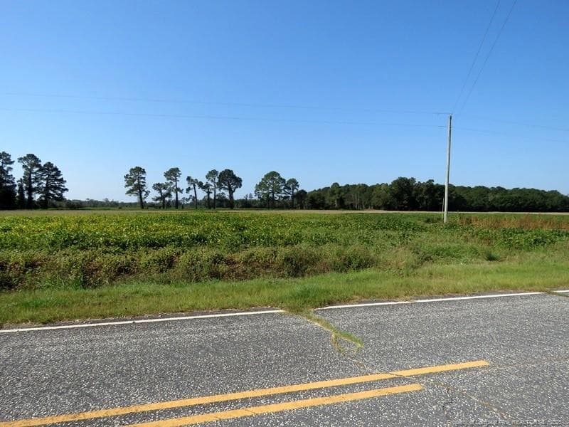 Photo 2 - TBD Cowpen Swamp Road, Fairmont, NC 28340