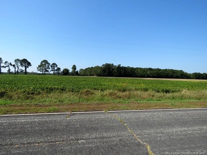 Photo 2 - TBD Cowpen Swamp Road, Fairmont, NC 28340