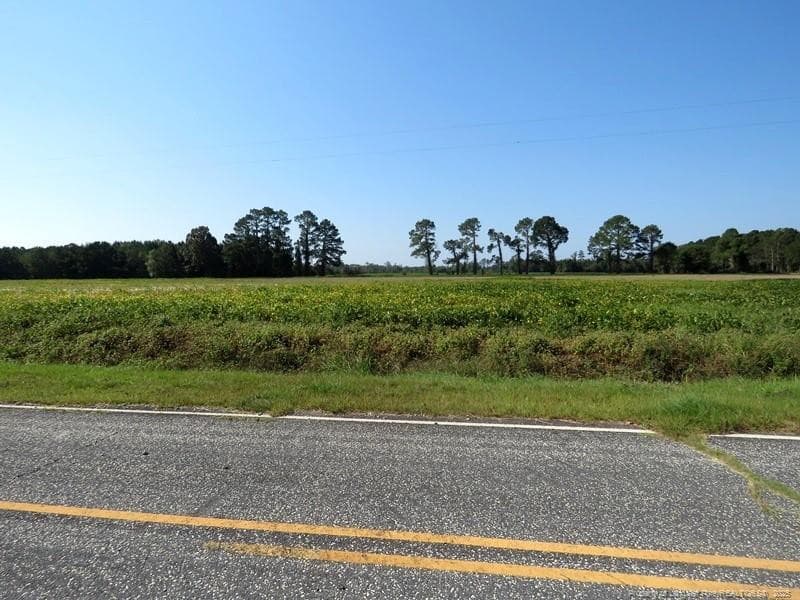 Photo 3 - TBD Cowpen Swamp Road, Fairmont, NC 28340