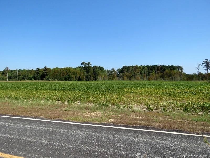 Photo 3 - TBD Cowpen Swamp Road, Fairmont, NC 28340, Fairmont