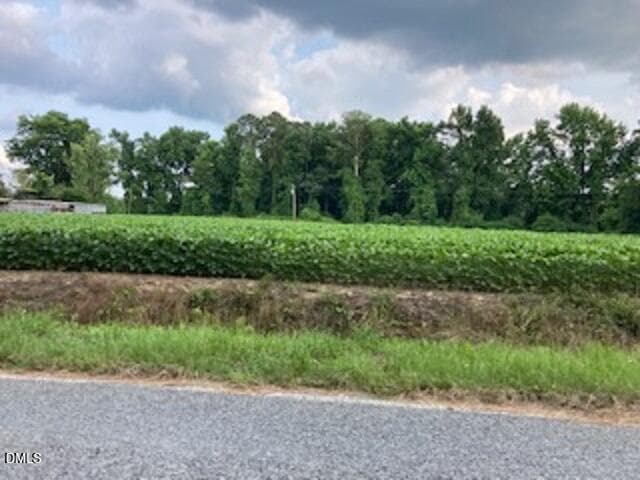 Waycross Farmland 3 - 0 Waycross Road, Turkey, NC 28393