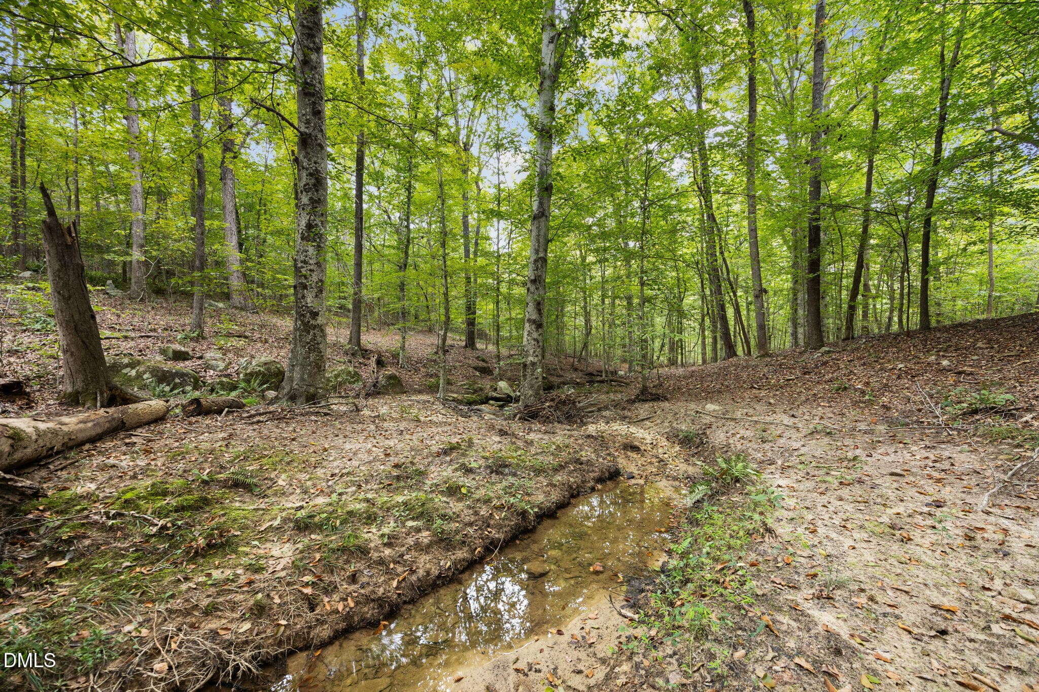 Creek - Lot D Wolf Tree Way, Efland, NC 27243
