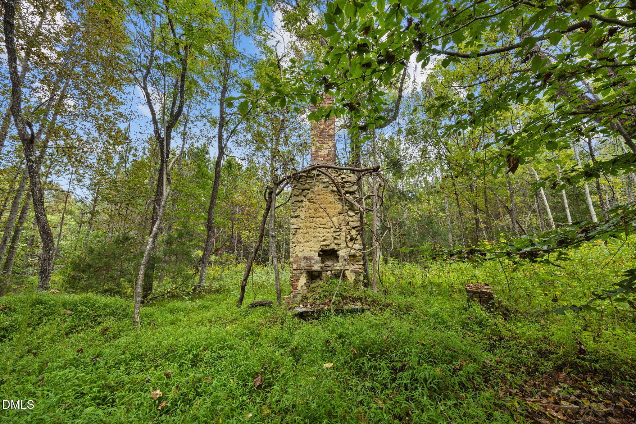 Historic Tree - Lot D Wolf Tree Way, Efland, NC 27243