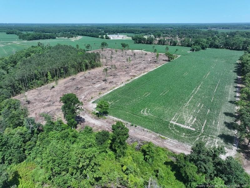 Photo 2 - TBD NC Hwy 71 Highway, Red Springs, NC 28377