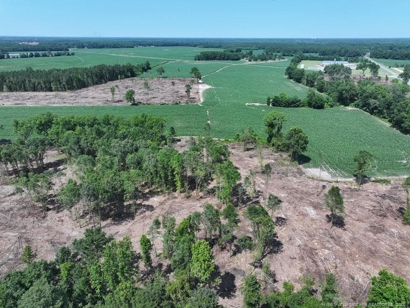 Photo 5 - TBD NC Hwy 71 Highway, Red Springs, NC 28377