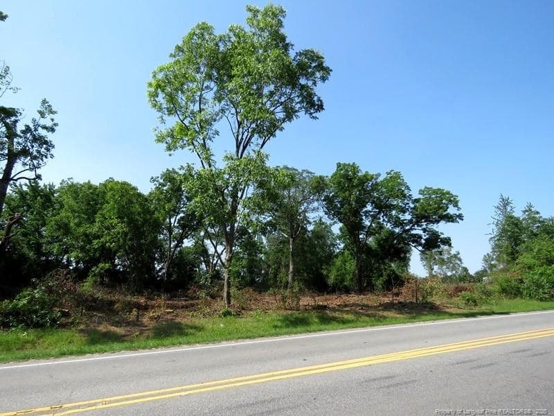 Photo 12 - TBD NC Hwy 71 Highway, Red Springs, NC 28377