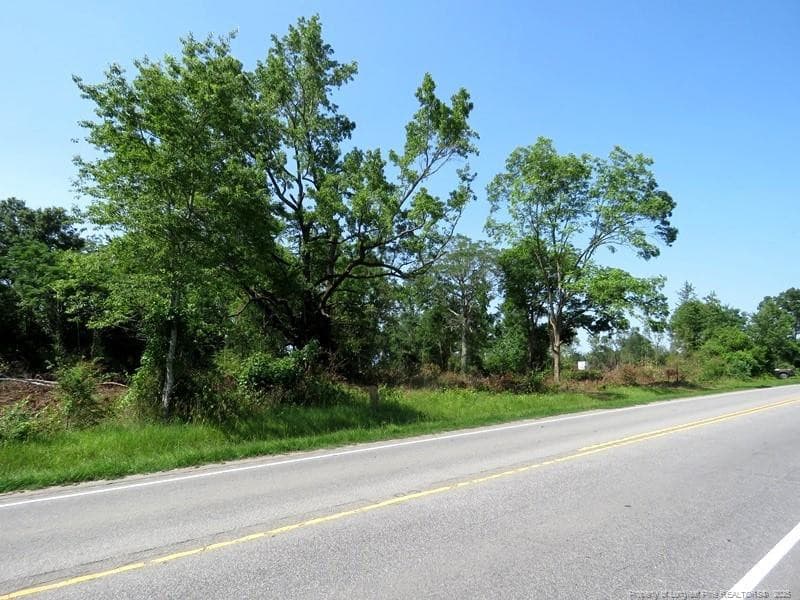 Photo 14 - TBD NC Hwy 71 Highway, Red Springs, NC 28377