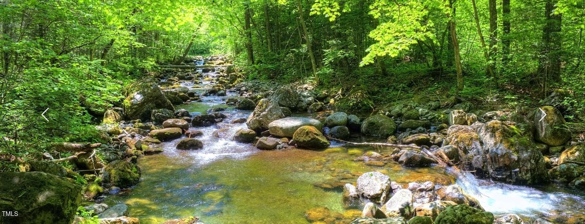 Dry Creek 2 2024-05-03 131453 - 60 Clear Springs Court, Pittsboro, NC 27312