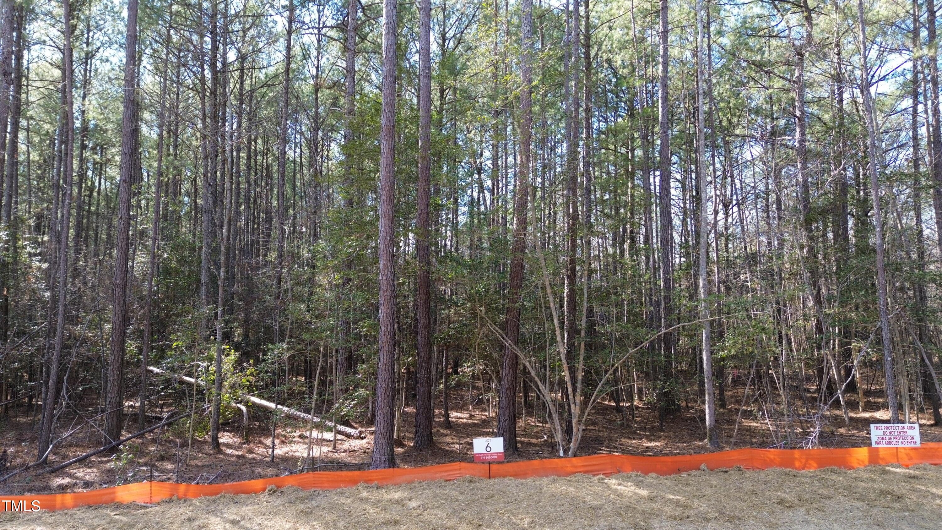 DJI_0083 - 90 Anfield Road, New Hill, NC 27562, New Hill