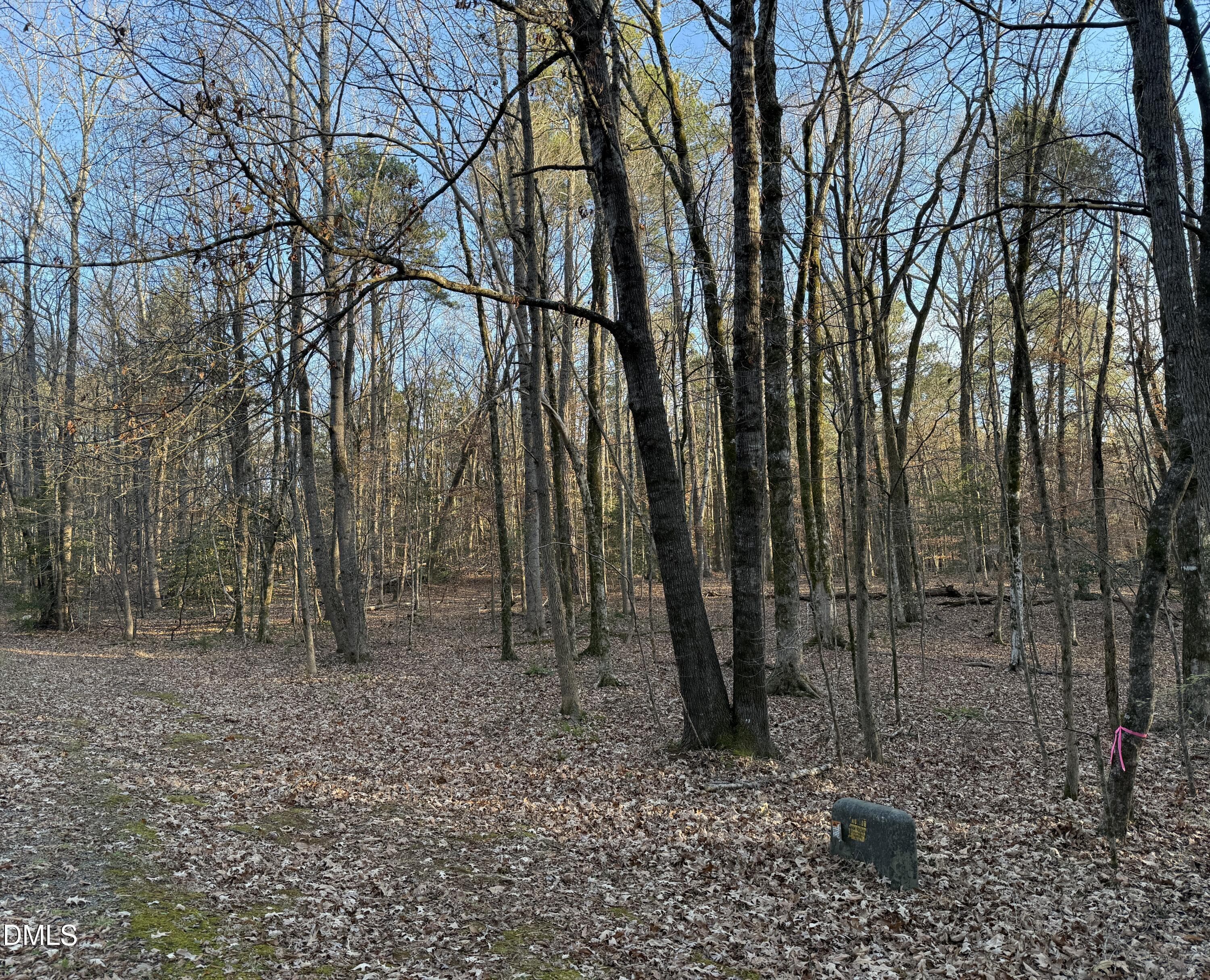 IMG_1368 - 0 Woodland Rd., Littleton, NC 27850, Littleton