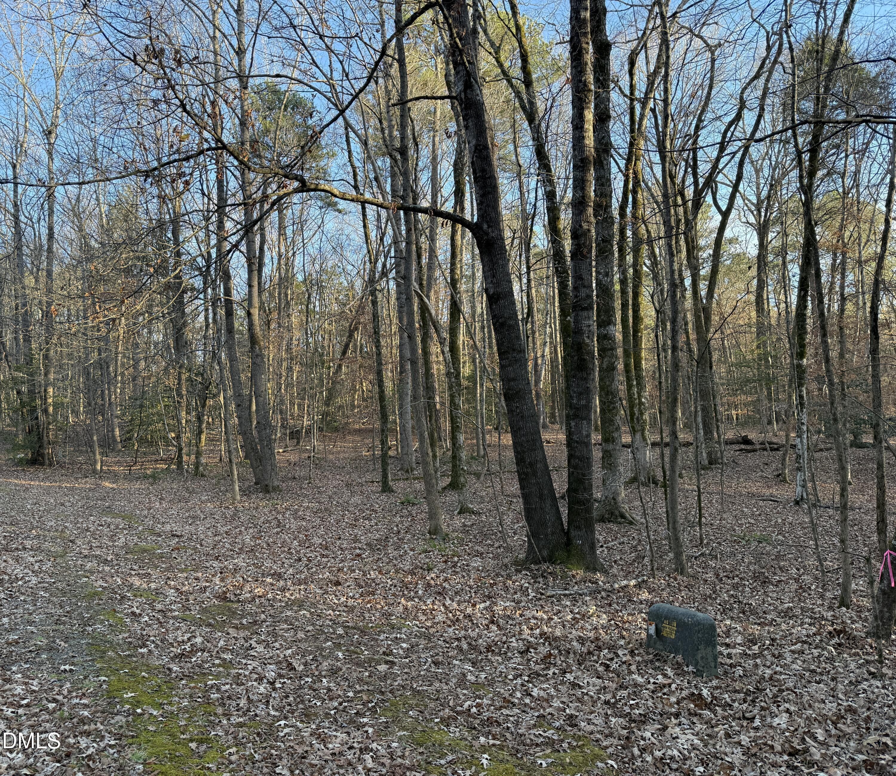 IMG_1369 - 0 Woodland Rd., Littleton, NC 27850, Littleton
