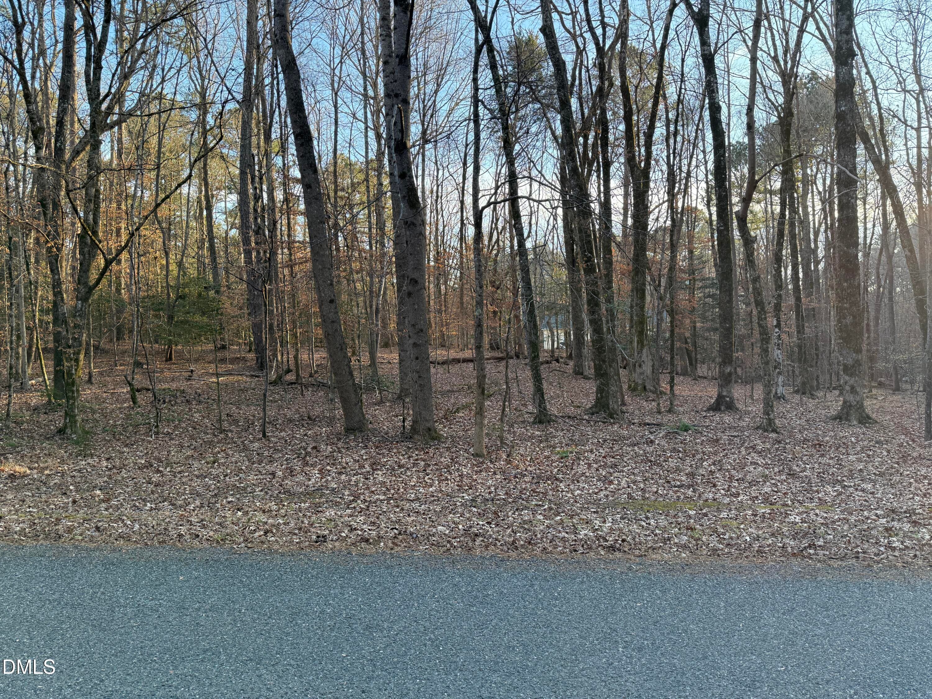 IMG_1370 - 0 Woodland Rd., Littleton, NC 27850, Littleton