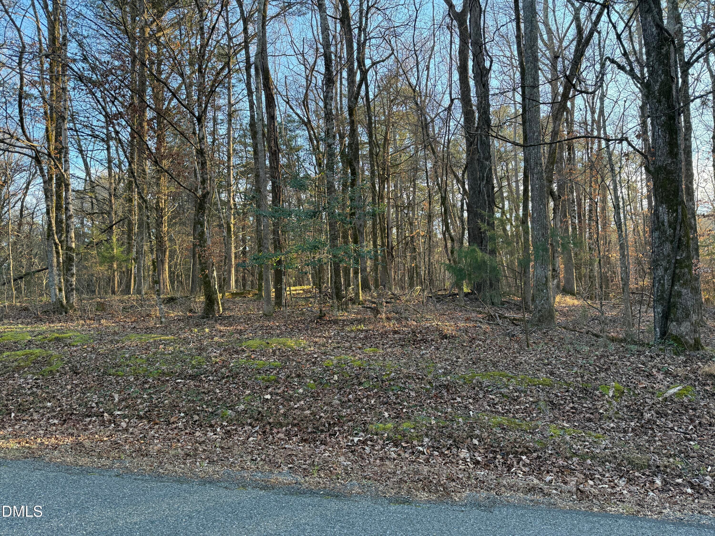 IMG_1371 - 0 Woodland Rd., Littleton, NC 27850, Littleton