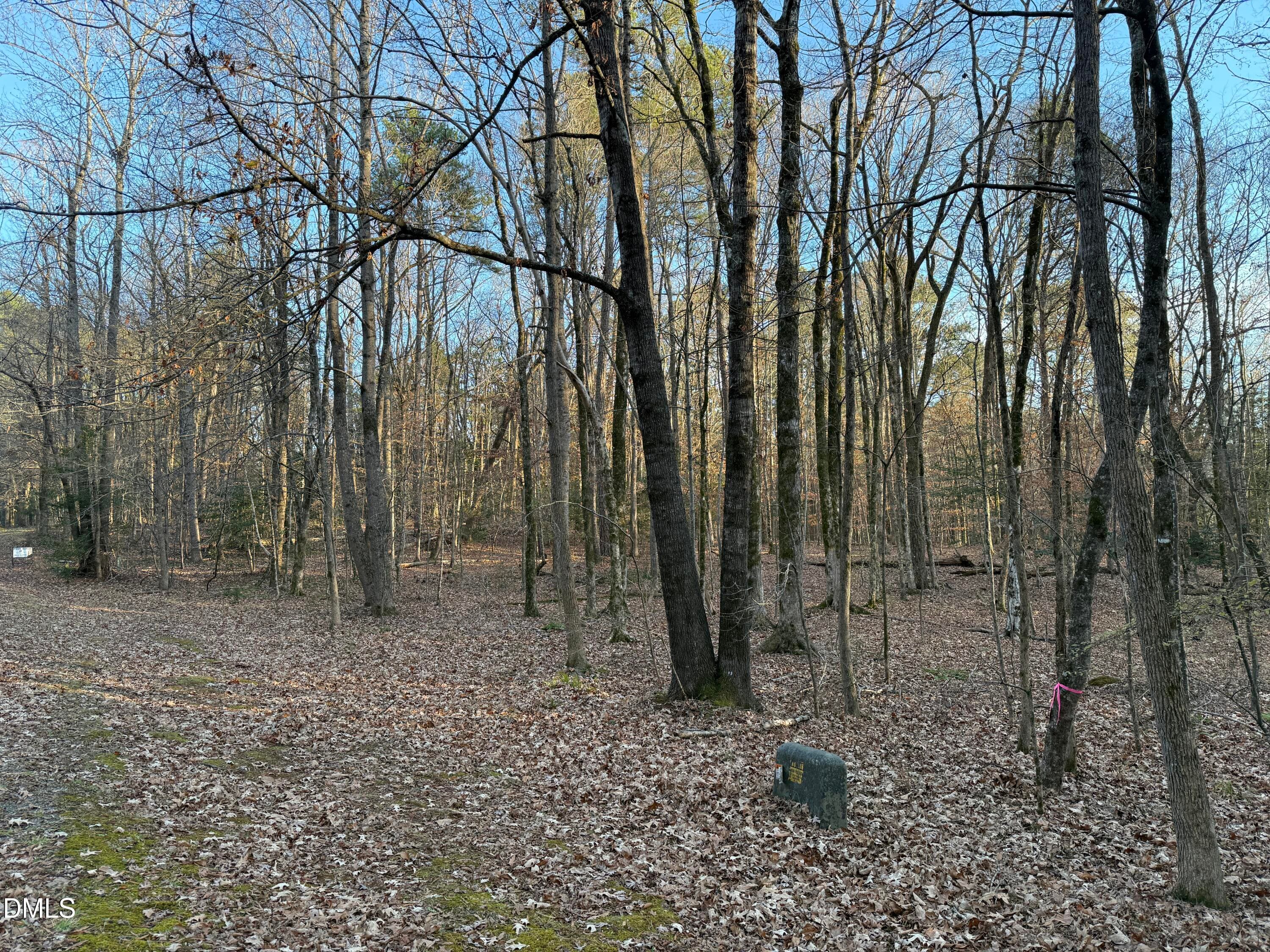 IMG_1375 - 0 Woodland Rd., Littleton, NC 27850, Littleton